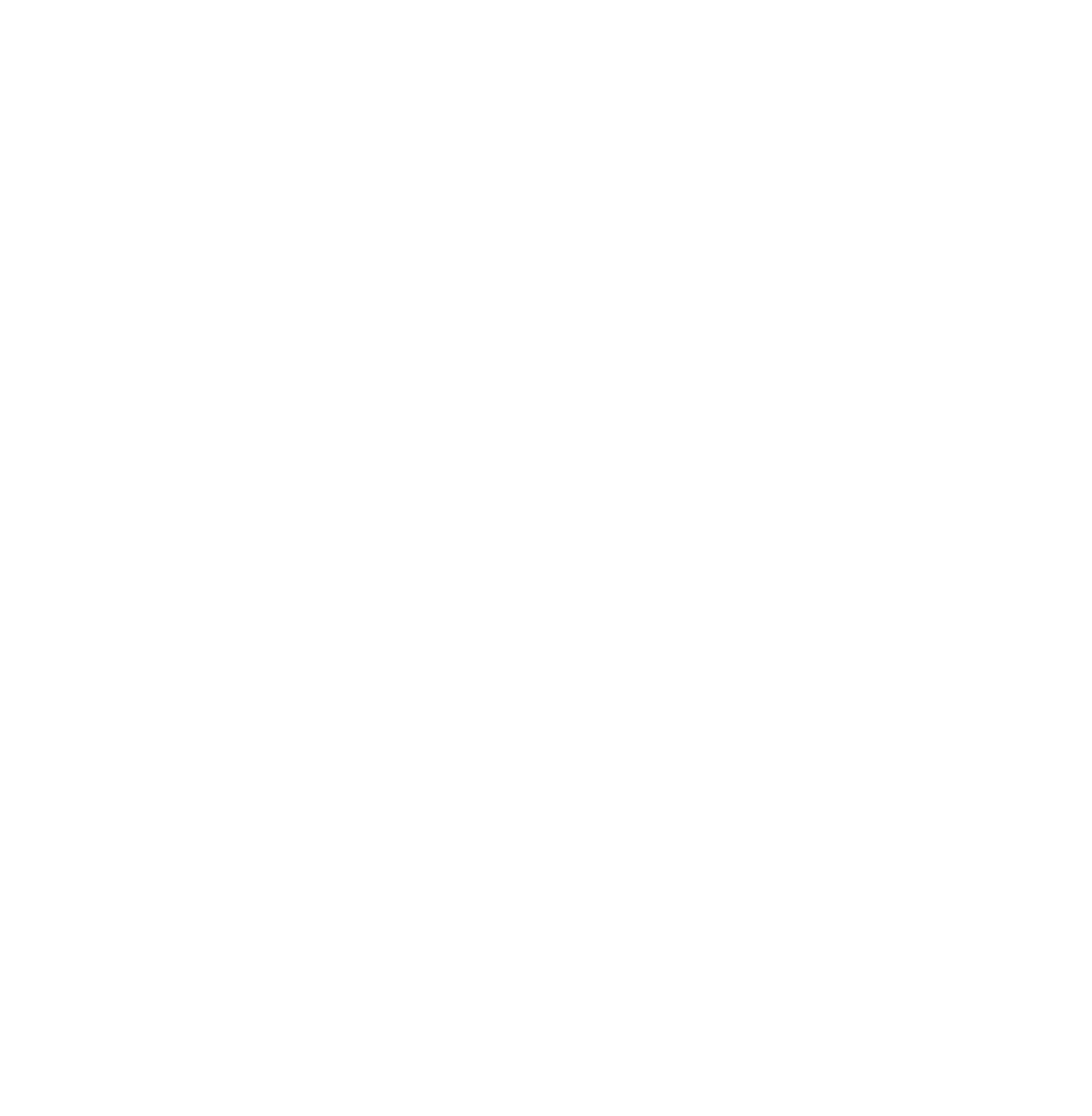 Twitter Icon White